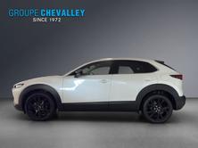 MAZDA CX-30 SKYACTIV-G 140 M Hybrid Homura FWD AT, Benzin, Neuwagen, Automatik - 3