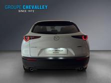 MAZDA CX-30 SKYACTIV-G 140 M Hybrid Homura FWD AT, Benzin, Neuwagen, Automatik - 5