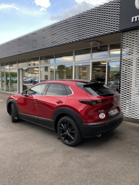 MAZDA CX-30 X 186 Homura AWD, Occasioni / Usate, Automatico - 2