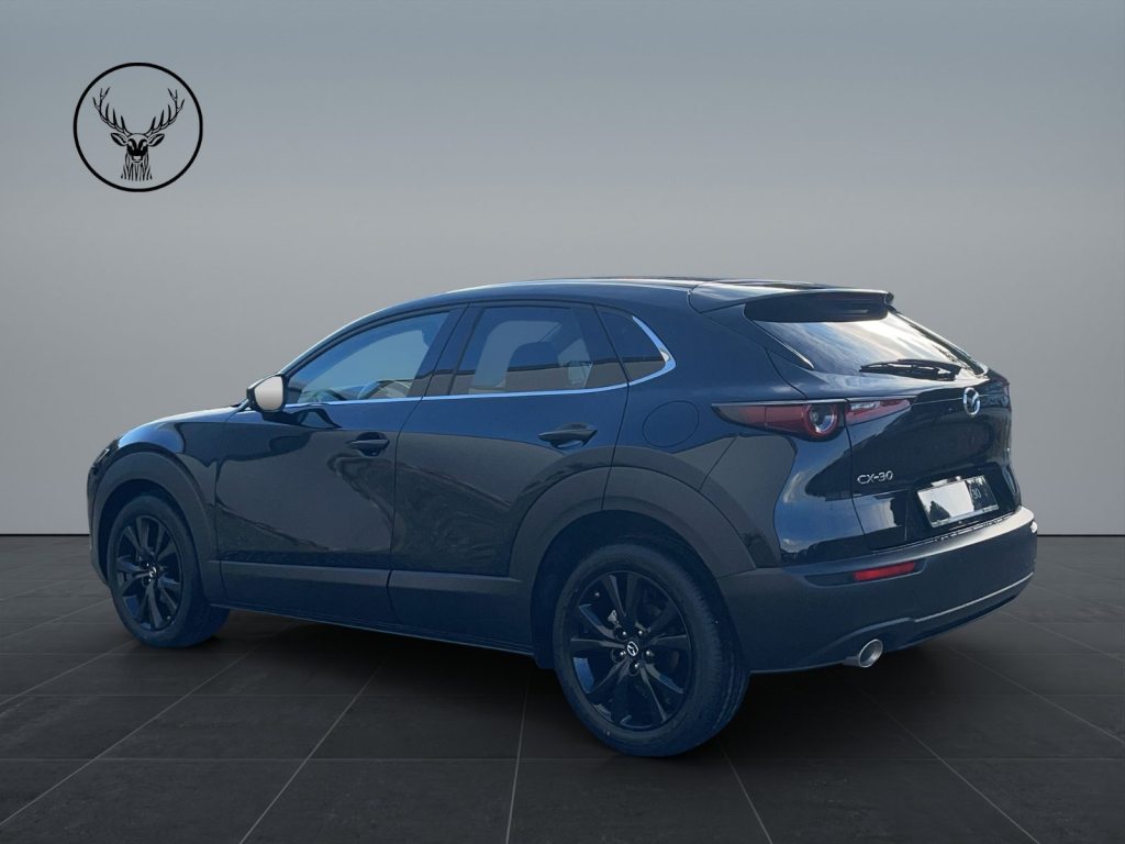 MAZDA 2.0 186 Nagisa, Mild-Hybrid Petrol/Electric, New car, Automatic - 5