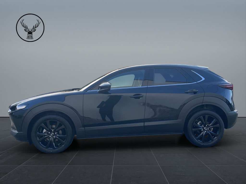 MAZDA 2.0 186 Nagisa, Mild-Hybrid Petrol/Electric, New car, Automatic - 4