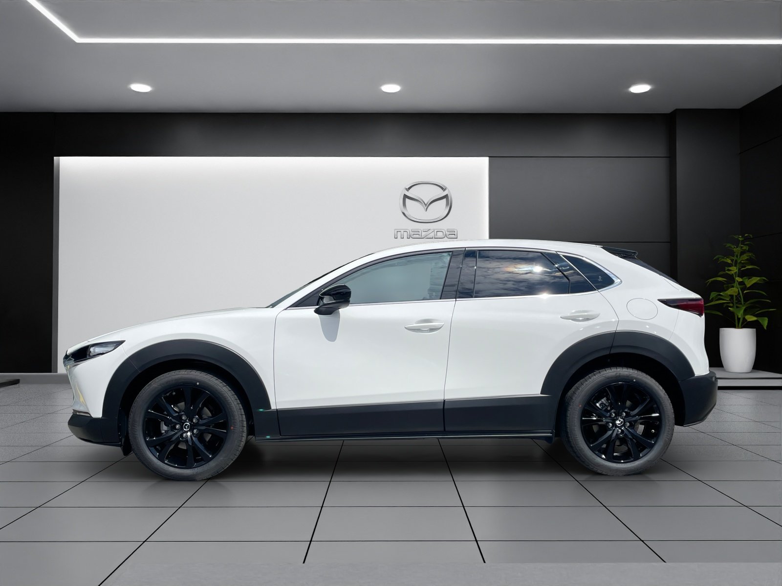 MAZDA CX-30 SKYACTIV-X 186 M Hybrid Homura AWD AT, Hybride Leggero Benzina/Elettrica, Auto nuove, Automatico - 3