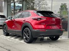 MAZDA CX-30 SKYACTIV-X 186 M Hybrid Homura FWD AT, Hybride Leggero Benzina/Elettrica, Auto nuove, Automatico - 4