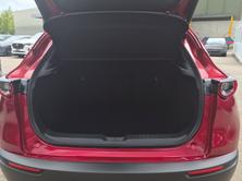 MAZDA CX-30 2.5 Exclusive-Line Automat, Mild-Hybrid Petrol/Electric, New car, Automatic - 6