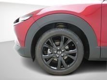 MAZDA CX-30 2.0 186 Homura AWD, Mild-Hybrid Benzin/Elektro, Neuwagen, Automatik - 6