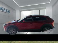 MAZDA CX-30 2.0 186 Exclusive-Line AWD, Mild-Hybrid Benzin/Elektro, Neuwagen, Automatik - 2