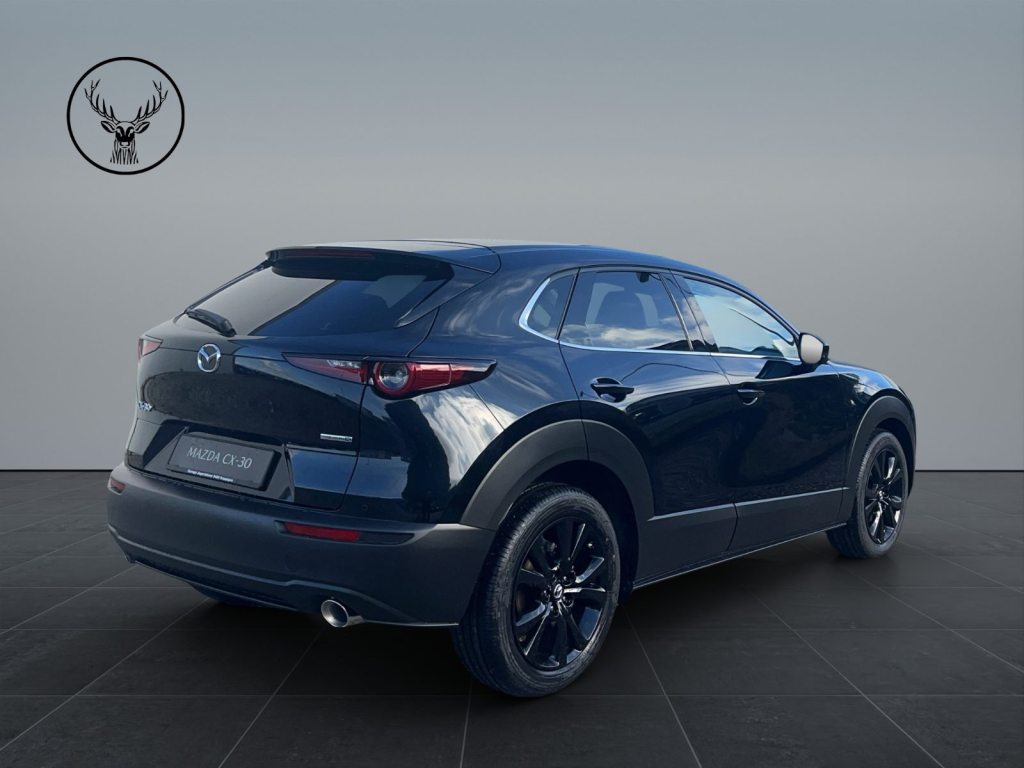 MAZDA 2.0 186 Nagisa, Mild-Hybrid Petrol/Electric, New car, Automatic - 7