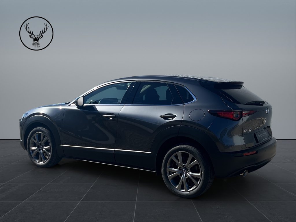 MAZDA CX-30 2.0 186 Exclusive-Line AWD, Mild-Hybrid Benzin/Elektro, Neuwagen, Automatik - 5