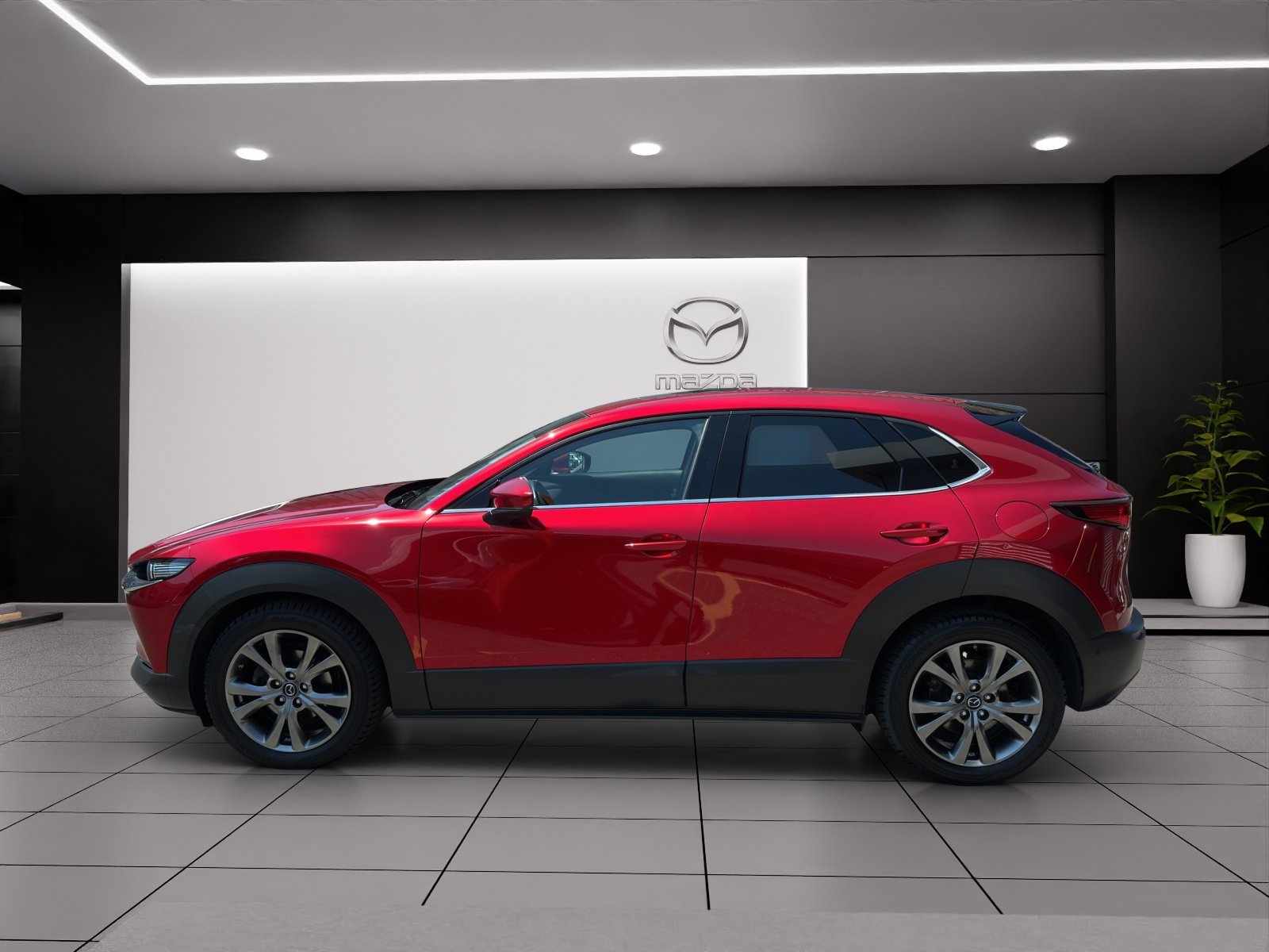 MAZDA CX-30 186 Revolution AWD, Hybride Léger Essence/Électricité, Occasion / Utilisé, Manuelle - 3