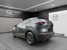 MAZDA CX-30 X 186 Homura, Hybride Léger Essence/Électricité, Occasion / Utilisé, Automatique - 4