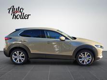 MAZDA 2.5 Exclusive-Line, Mild-Hybrid Benzin/Elektro, Occasion / Gebraucht, Automatik - 5