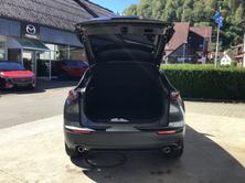 MAZDA CX-30 140PS Exclusive-Line, Mild-Hybrid Benzin/Elektro, Vorführwagen, Automatik - 7