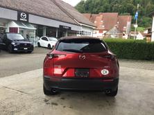 MAZDA CX-30 2.0 Revolution AWD, Mild-Hybrid Benzin/Elektro, Occasion / Gebraucht, Automat - 5
