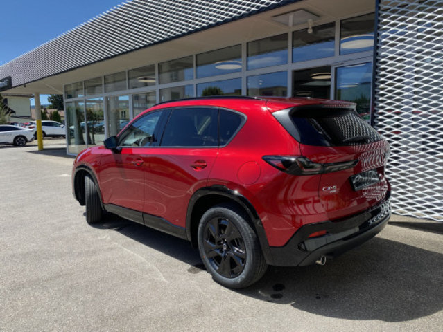 MAZDA CX-5 G 141 Homura, Voiture nouvelle, Automatique - 2