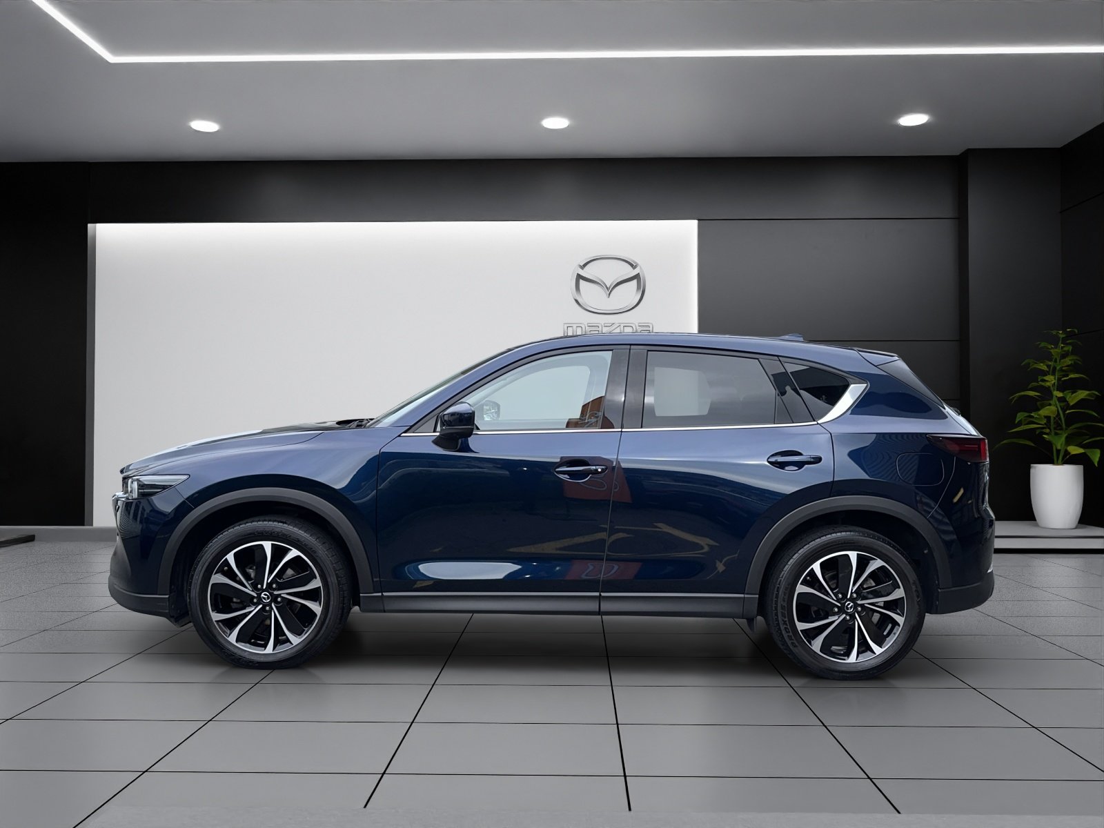 MAZDA CX-5 G 194 Revolution AWD, Benzina, Occasioni / Usate, Automatico - 3