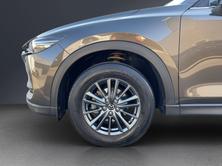 MAZDA CX-5 G 165 Ambition AWD, Essence, Occasion / Utilisé, Automatique - 6