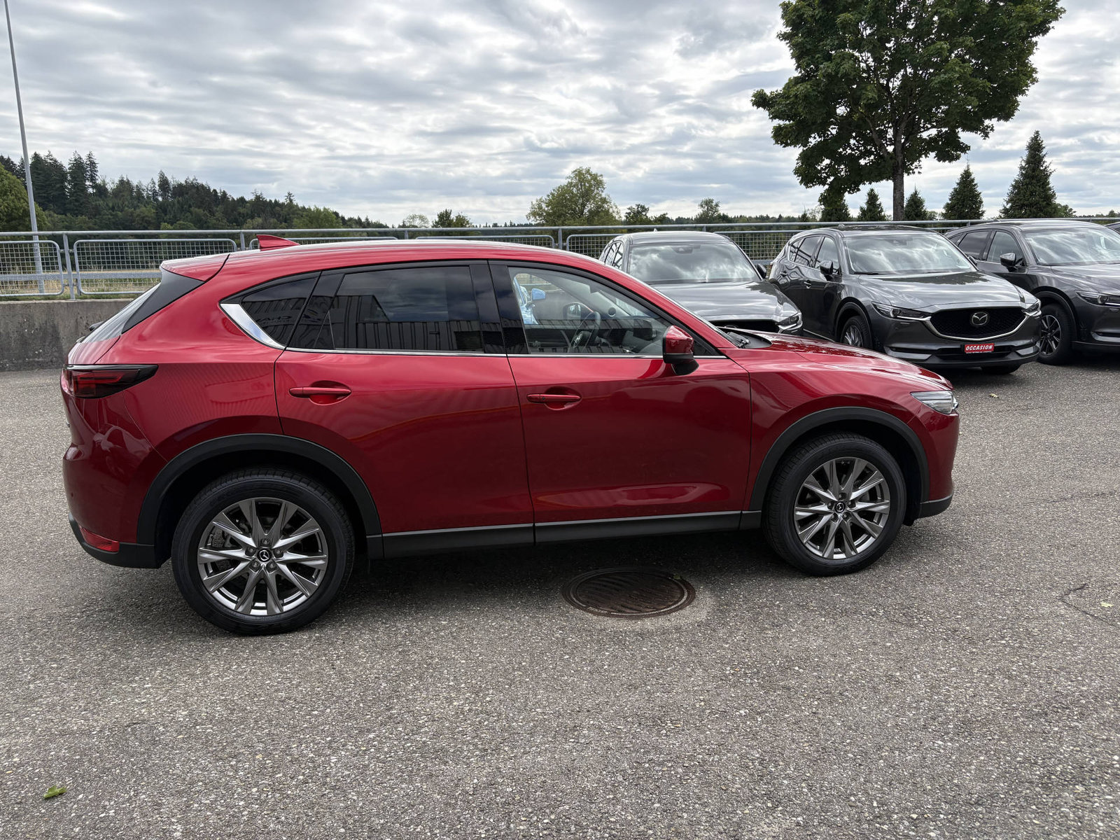 MAZDA CX-5 2.2 D 184 Revolution AWD, Diesel, Occasion / Utilisé, Automatique - 4