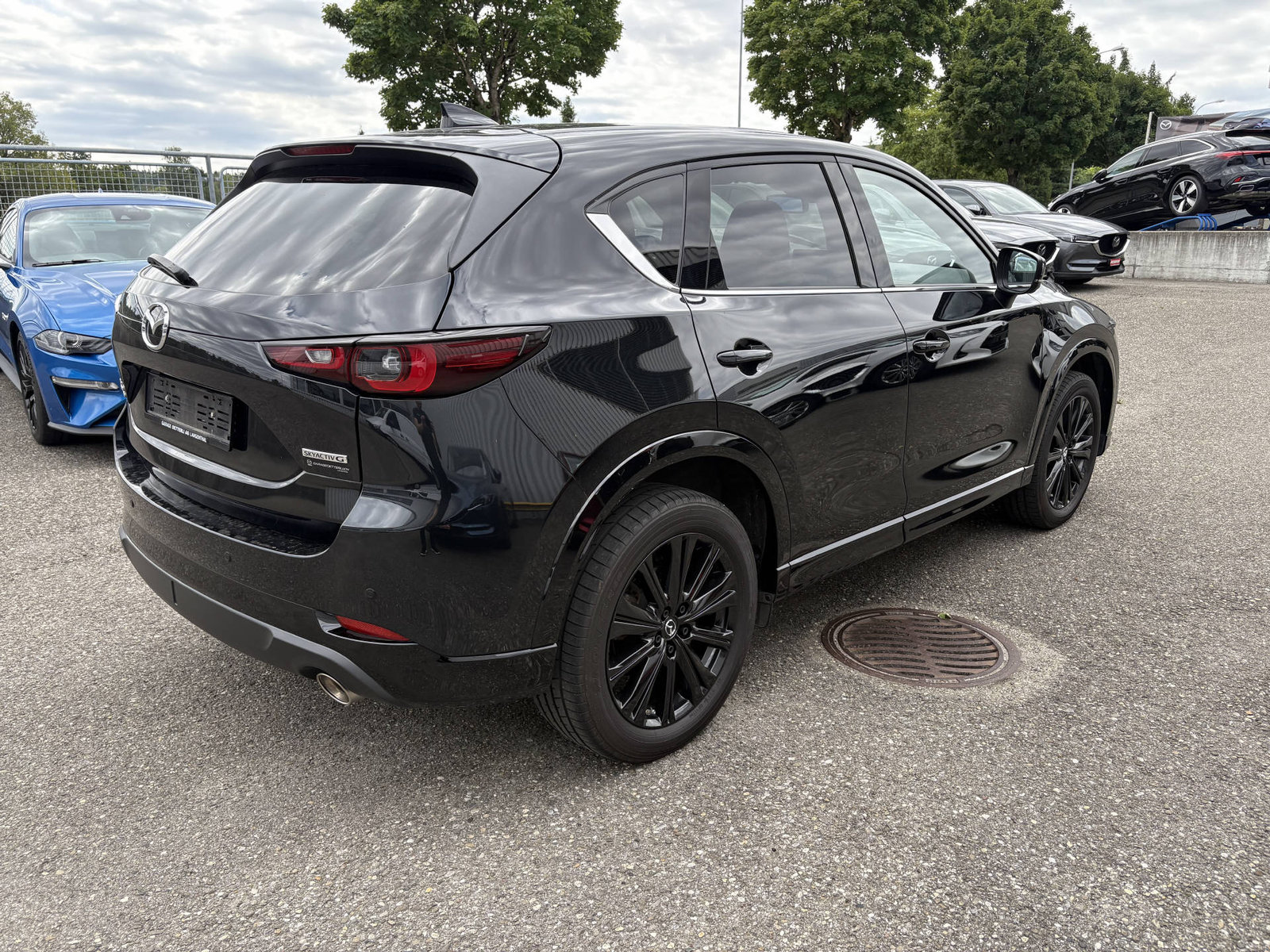 MAZDA CX-5 2.5 Homura AWD, Mild-Hybrid Benzin/Elektro, Occasion / Gebraucht, Automatik - 5