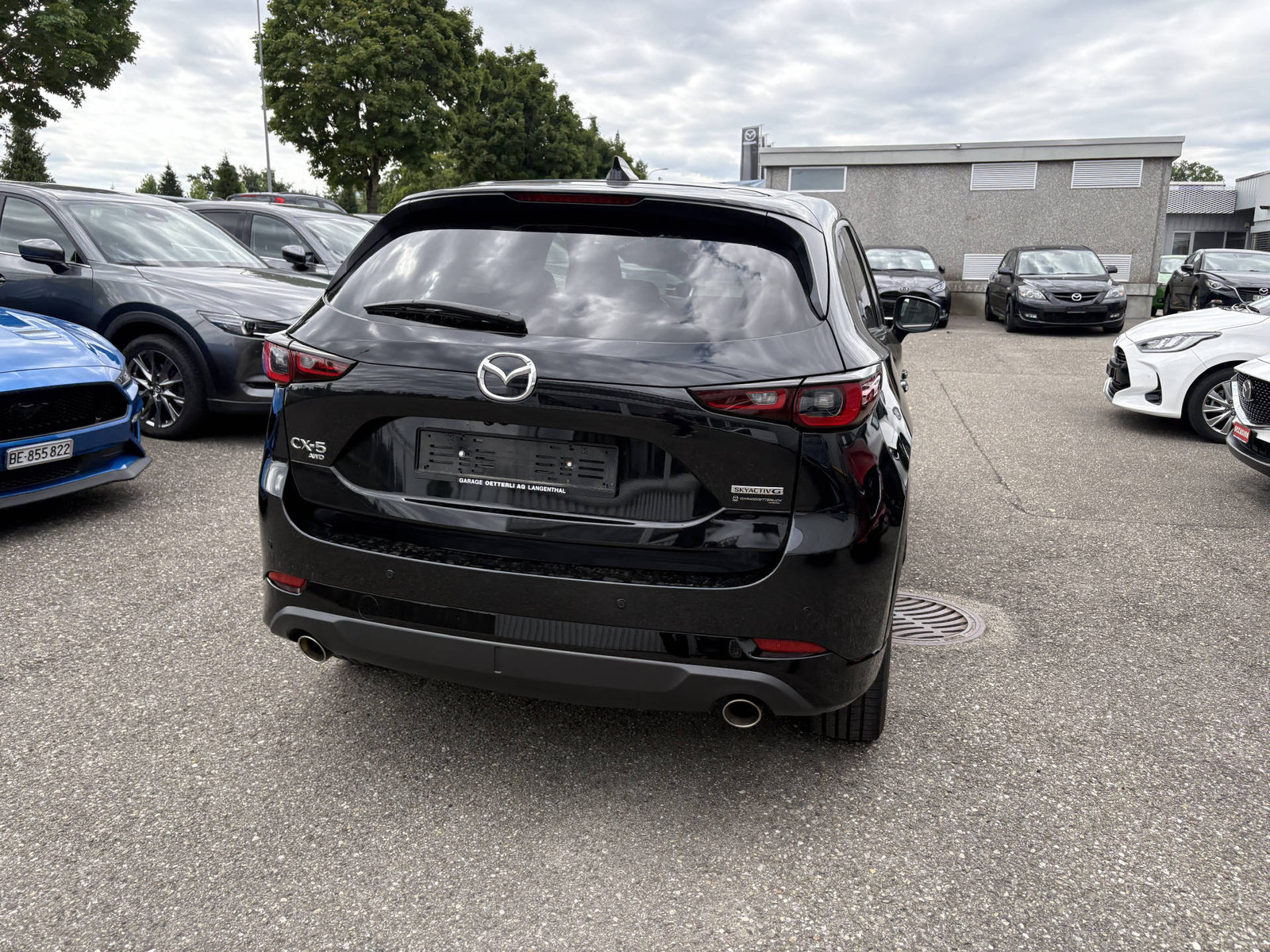 MAZDA CX-5 2.5 Homura AWD, Mild-Hybrid Benzin/Elektro, Occasion / Gebraucht, Automatik - 6
