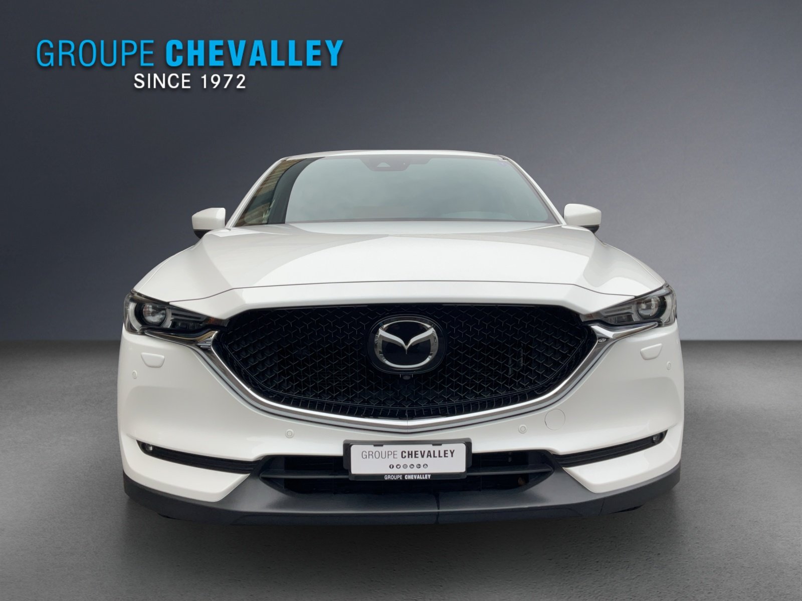 MAZDA CX-5 G 194 Revolution AWD, Essence, Occasion / Utilisé, Automatique - 2