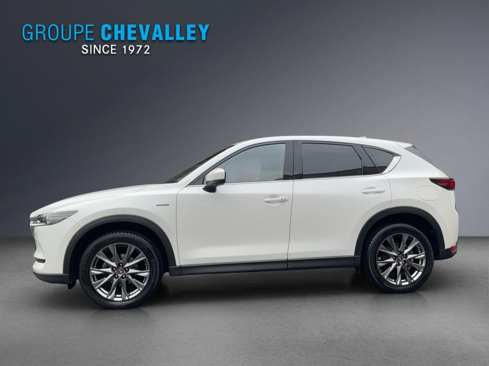 MAZDA CX-5 G 194 Revolution AWD, Essence, Occasion / Utilisé, Automatique - 3