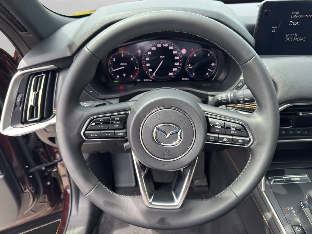 MAZDA CX-80 3.3 D Homura COSO, Diesel, Auto dimostrativa, Automatico - 6