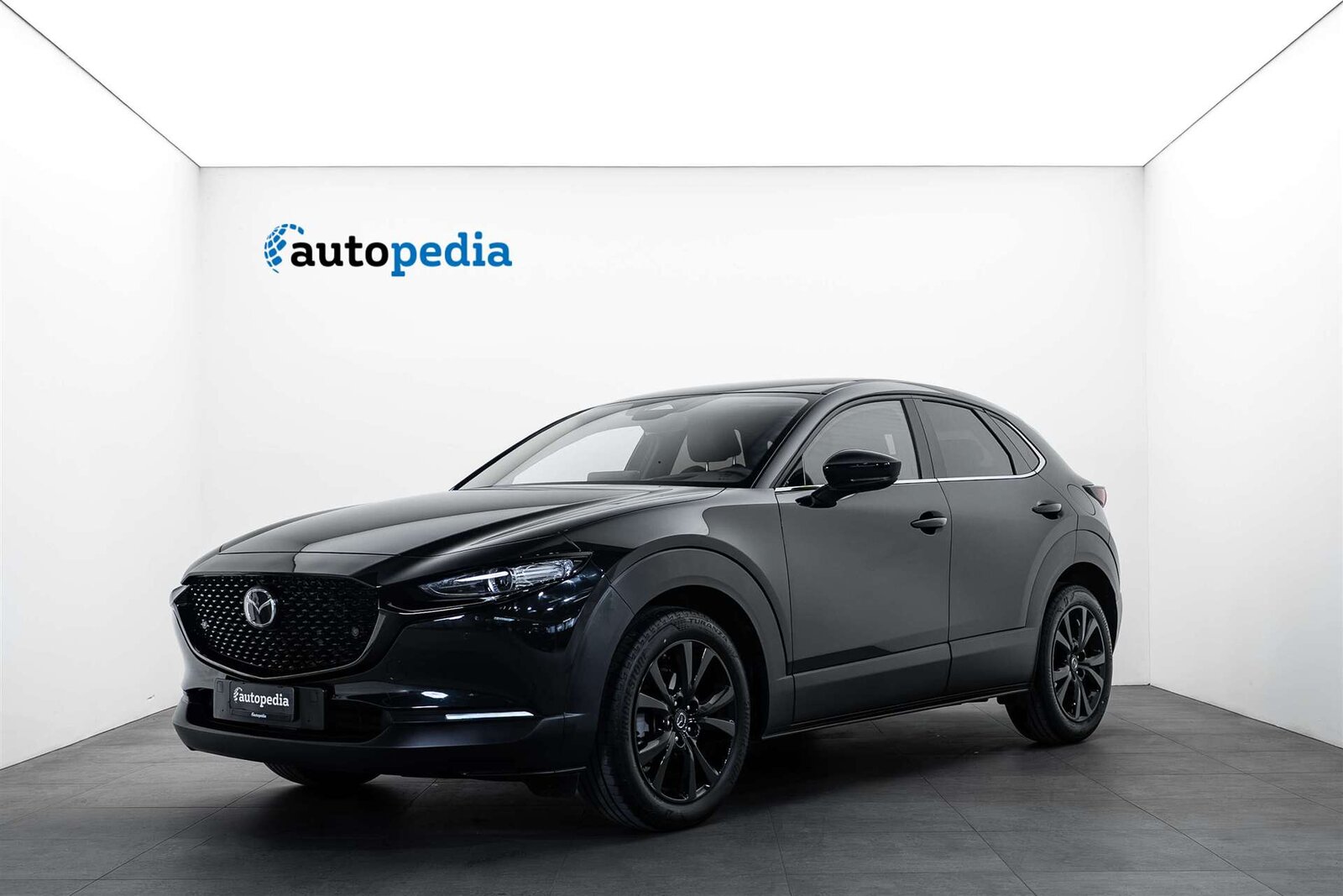 MAZDA MAZDA CX-30 SKYACTIV-G 140 MHEV Nagisa Automat