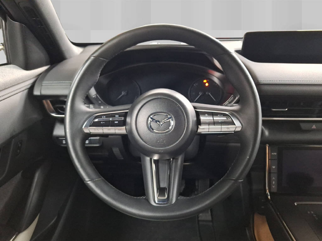 MAZDA MX-30 e-Skyactiv Ambition Plus, Elettrica, Occasioni / Usate, Automatico - 7