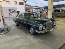 MERCEDES-BENZ 250 SE, Benzina, Auto d'epoca, Manuale - 2
