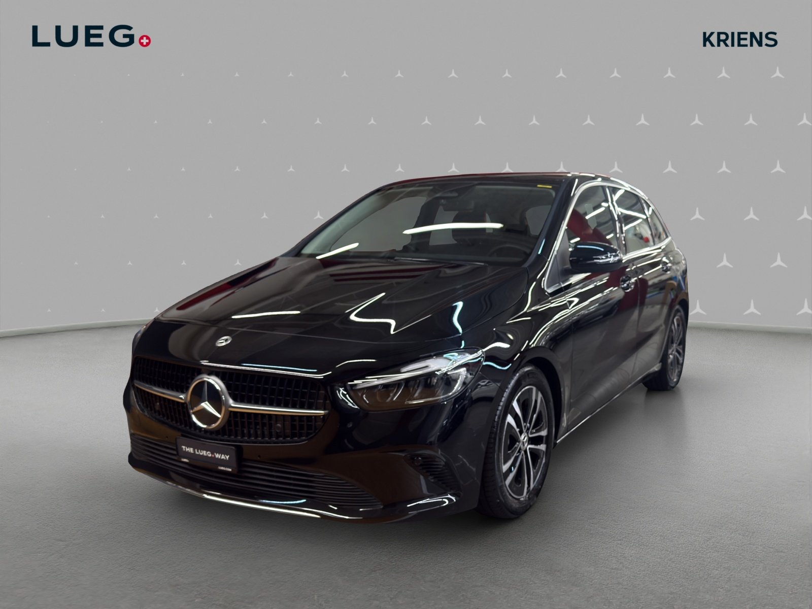 MERCEDES-BENZ B 220 4M - Progressive / Rückfahrkamera / Win