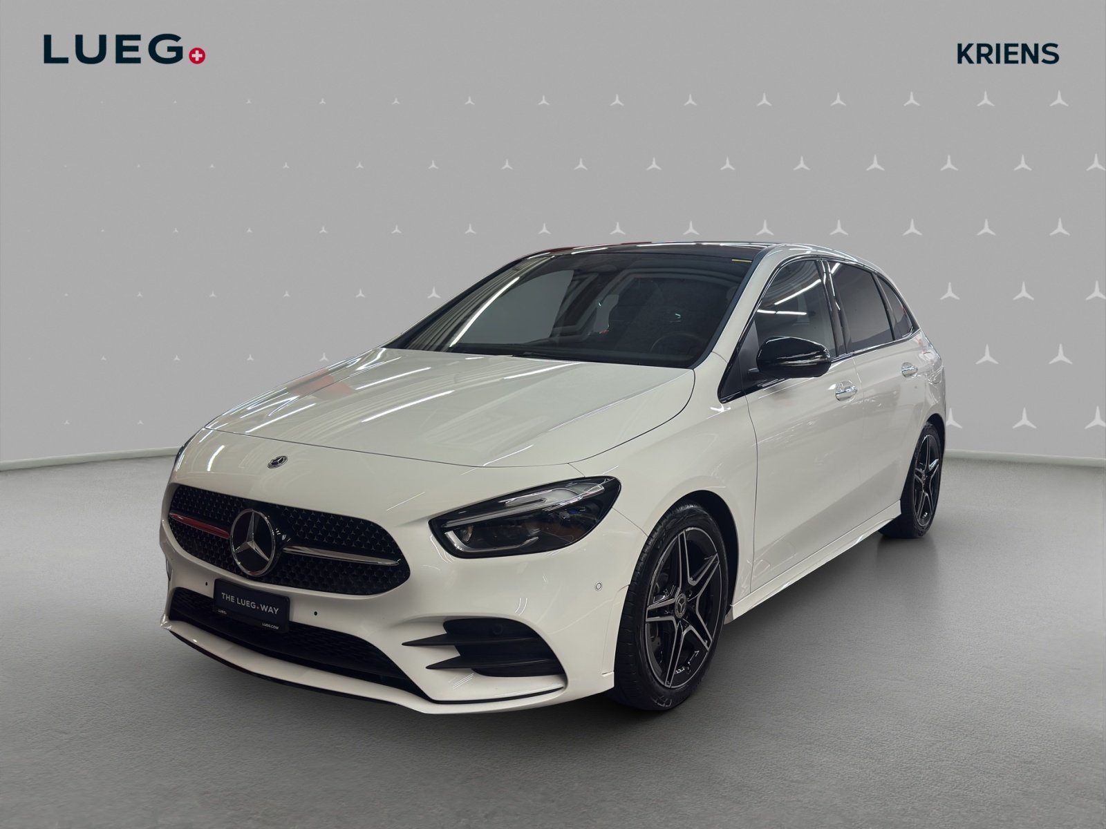 MERCEDES-BENZ B 250 4M - AMG / Rückfahrkamera / Multibeam L