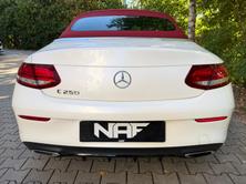 MERCEDES-BENZ C 250 Cabriolet AMG Line 9G-Tronic NIGHT Edition, Benzin, Occasion / Gebraucht, Automatik - 7