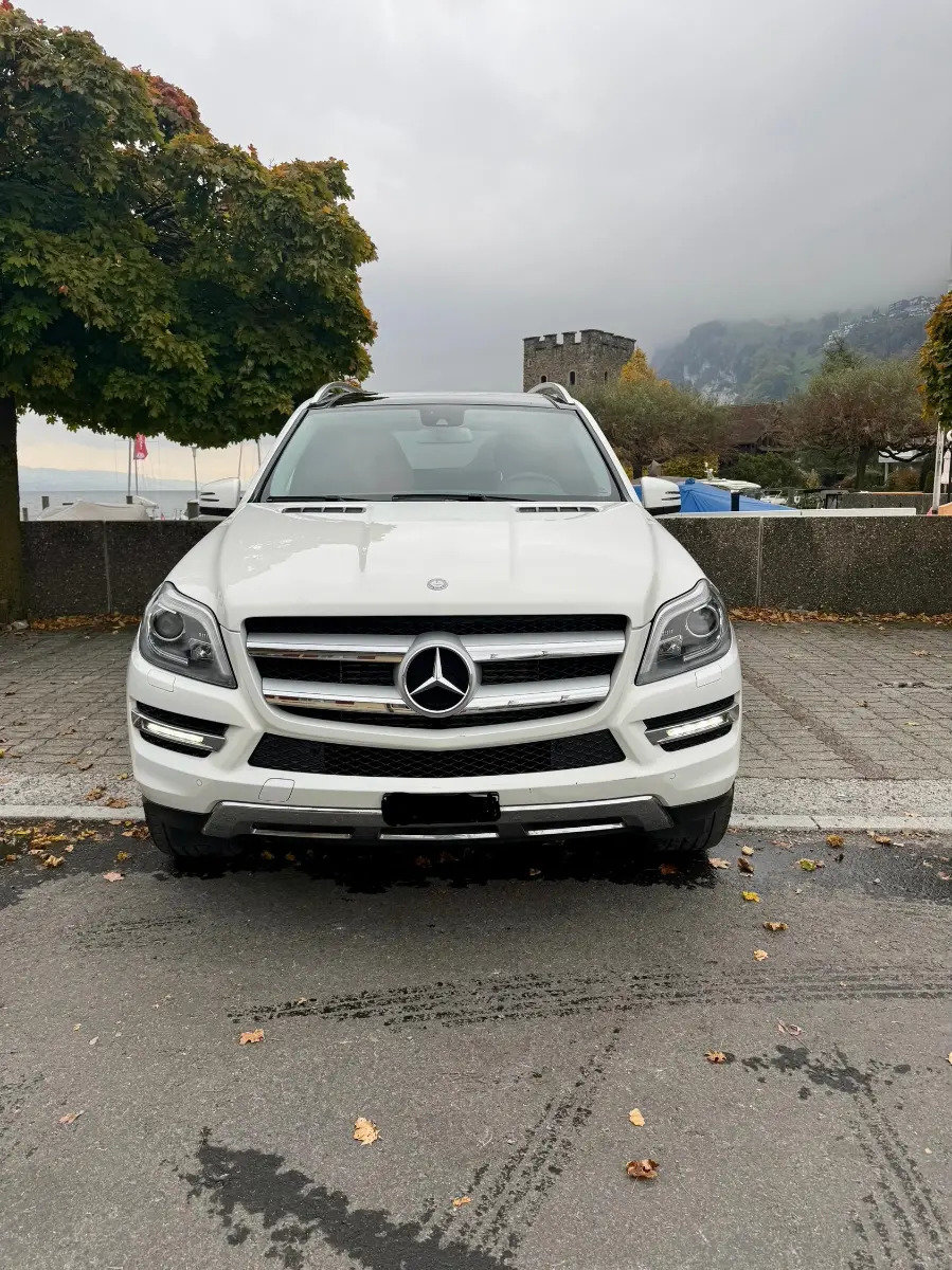 MERCEDES-BENZ GL-Klasse X166 GL 350 V6 CDI BlueTec, Diesel, Occasioni / Usate, Automatico - 2