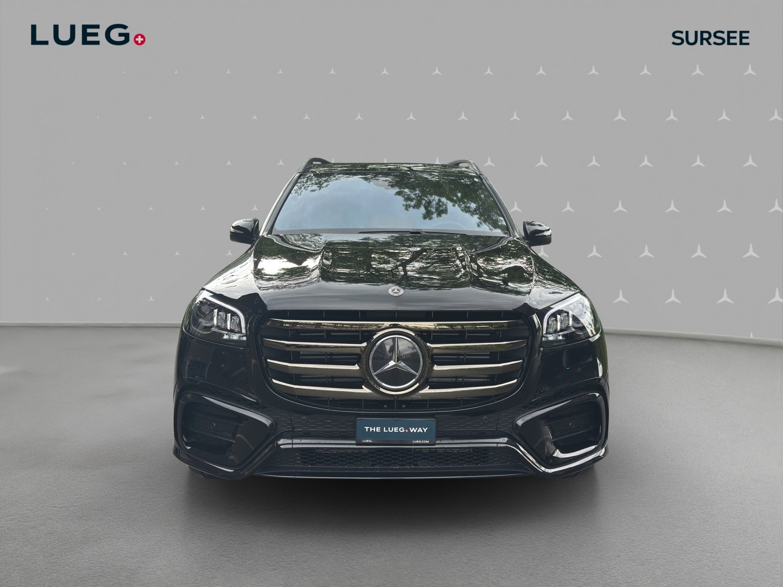 MERCEDES-BENZ GLS 450 d 4Matic 9G-Tronic, Hybride Léger Diesel/Électricité, Voiture nouvelle, Automatique - 6
