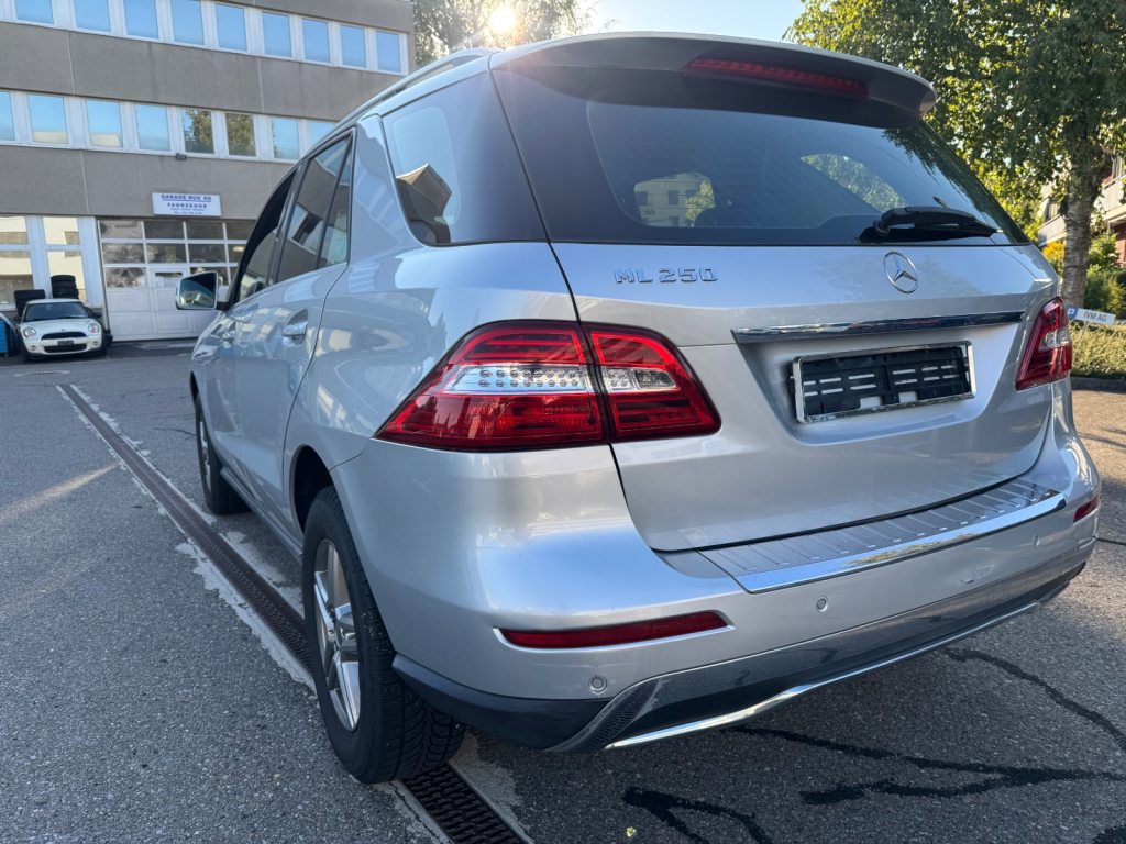 MERCEDES-BENZ ML 250 CDI BlueTec, Diesel, Occasioni / Usate, Automatico - 3