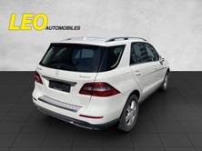 MERCEDES-BENZ ML 250 BlueTEC Executive 4Matic 7G-Tronic, Diesel, Occasion / Utilisé, Automatique - 5