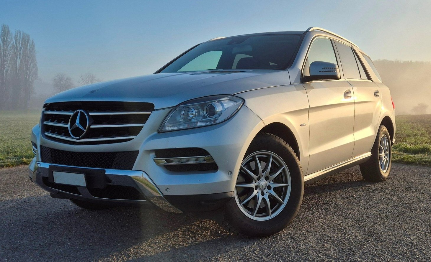 MERCEDES-BENZ M-Klasse W166 ML 350 CDI BlueTec, Diesel, Second hand / Used, Automatic - 2