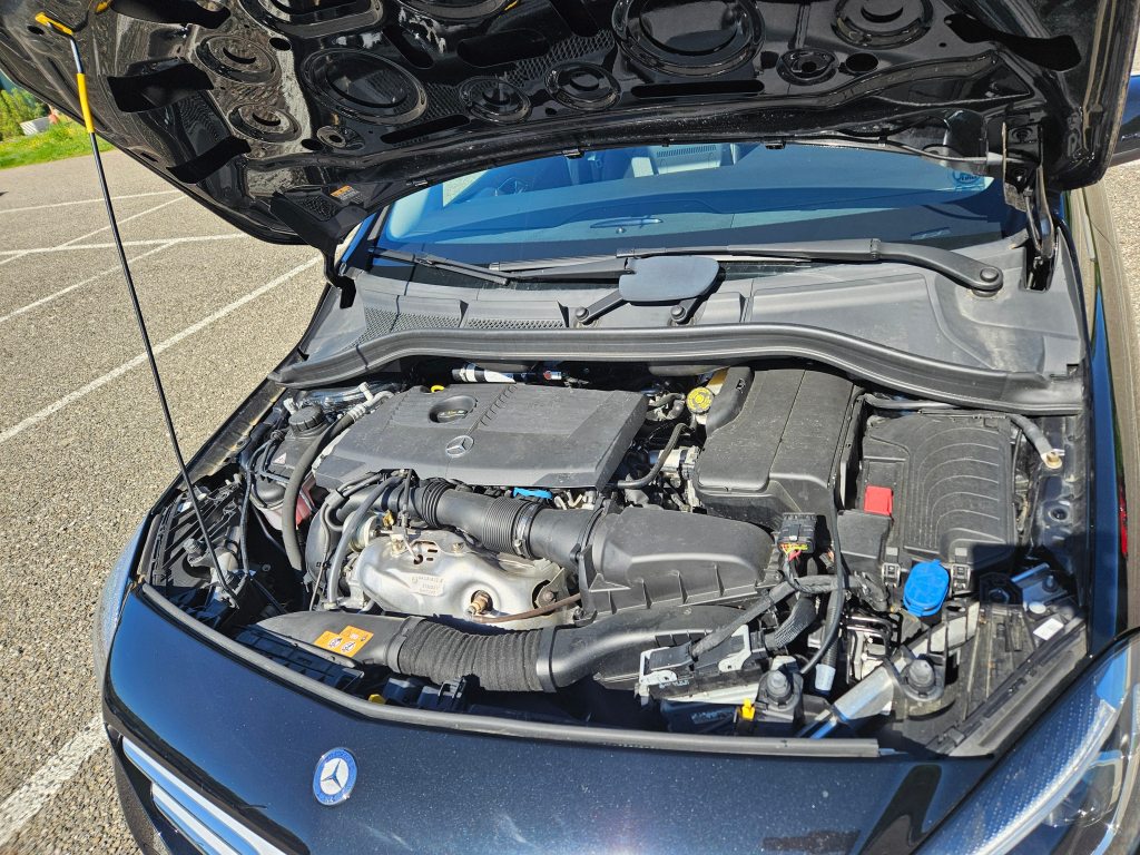 MERCEDES-BENZ T-CLASS B 220 4m, Essence, Occasion / Utilisé, Automatique - 7