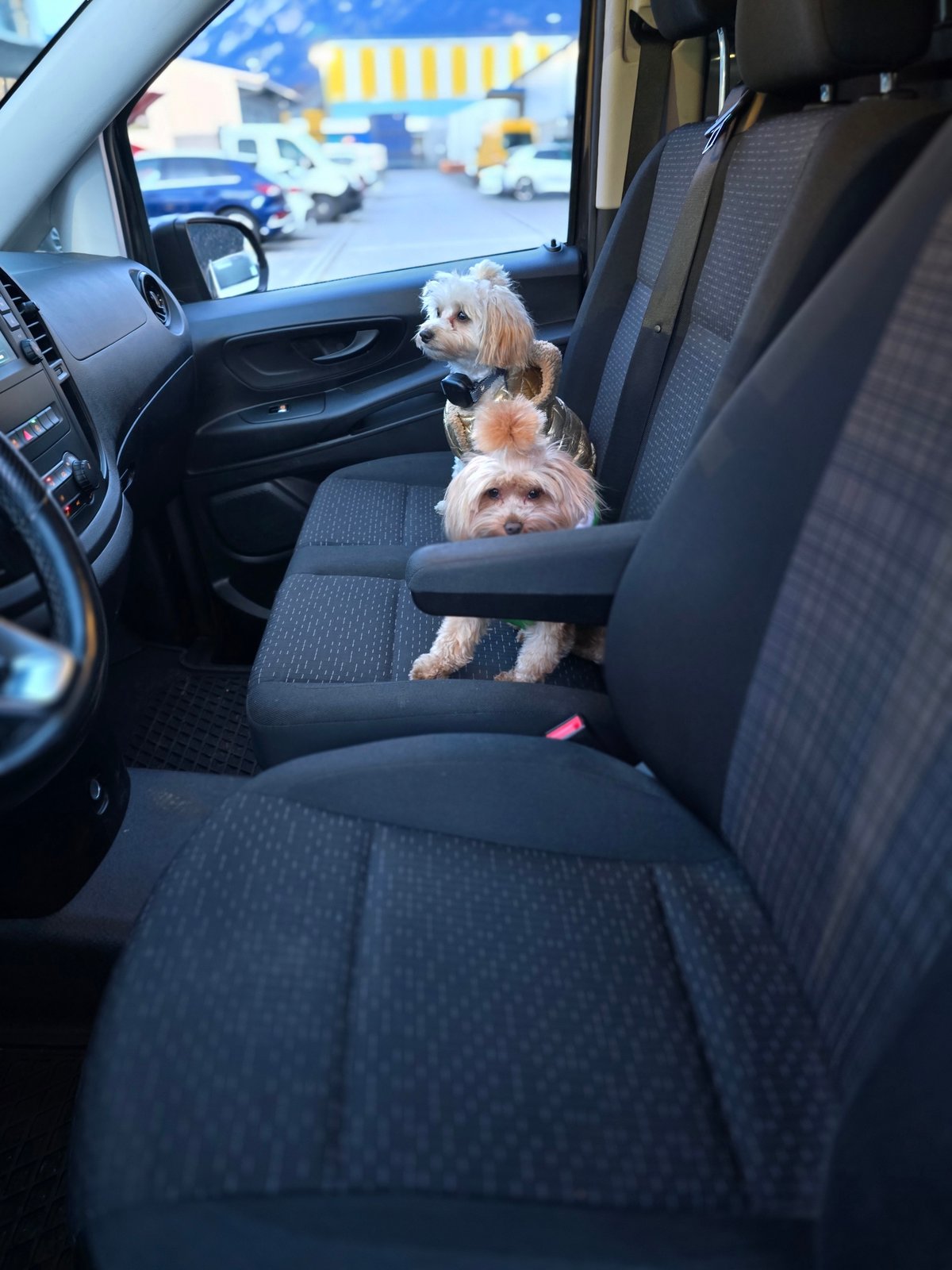 MERCEDES-BENZ Vito 119 CDI Lang 9G-Tronic 4M Base, Diesel, Second hand / Used, Automatic - 4