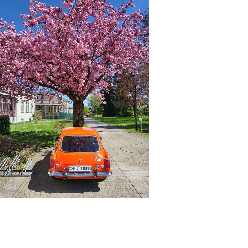 MG MGB GT, Essence, Occasion / Utilisé, Manuelle - 3