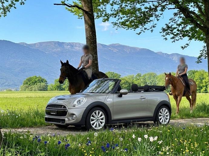 MINI Cooper S Cabriolet Steptronic, Essence, Occasion / Utilisé, Automatique