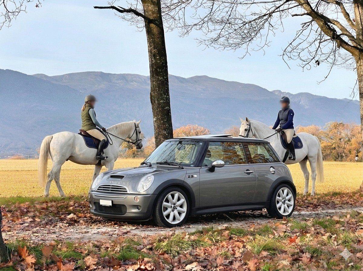 MINI Cooper S