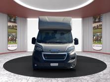 MSG Pferdetransport MSG Superlight Plus, Diesel, Voiture nouvelle, Manuelle - 2