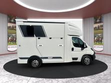 MSG Pferdetransport MSG Superlight Plus, Diesel, Voiture nouvelle, Manuelle - 3