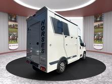 MSG Pferdetransport MSG Superlight Plus, Diesel, Voiture nouvelle, Manuelle - 4