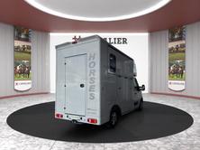 MSG Pferdetransport MSG Superlight Plus, Diesel, Occasion / Utilisé, Manuelle - 4