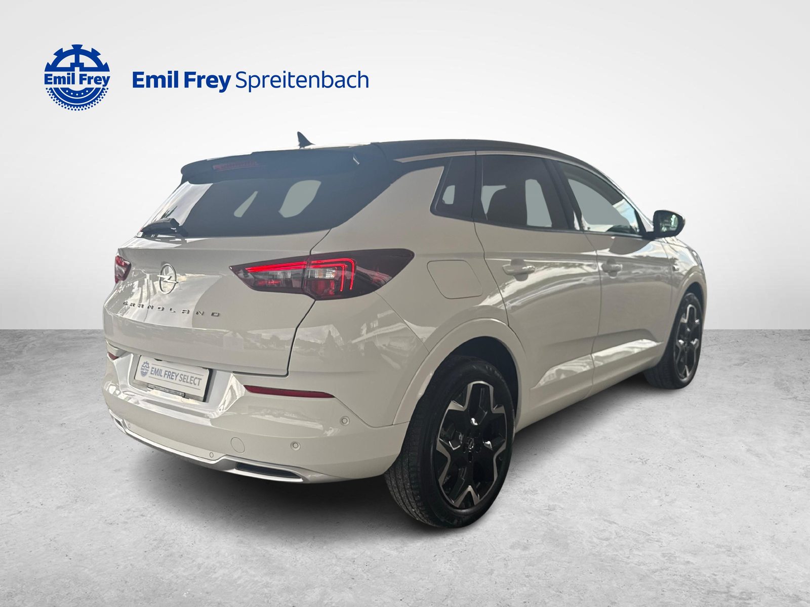 OPEL Grandland 1.2 T Elegance / Jetzt mit attraktivem 1.9% Leasin, Benzina, Occasioni / Usate, Automatico - 5