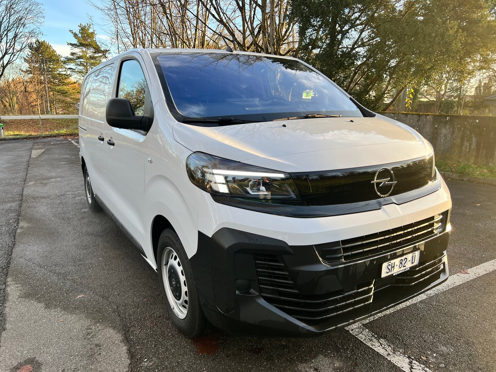 OPEL Vivaro Cargo 1.5 D s/s M, Diesel, Occasioni / Usate, Manuale - 2