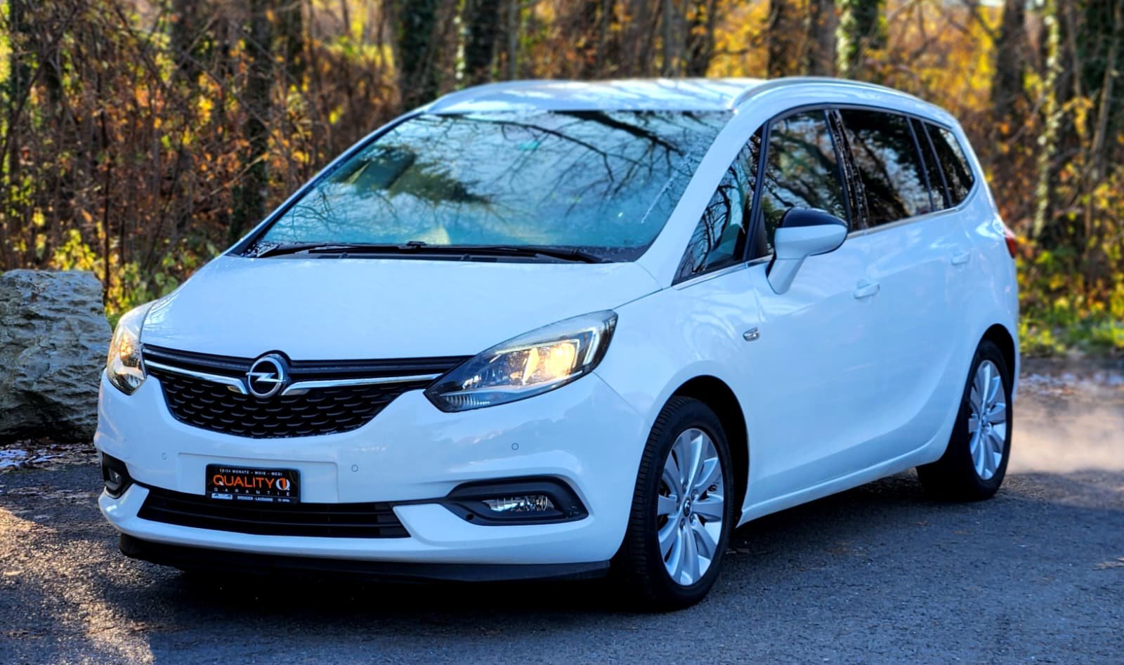 OPEL Zafira 1.6 CDTi Excellence, Diesel, Occasion / Gebraucht, Handschaltung - 3