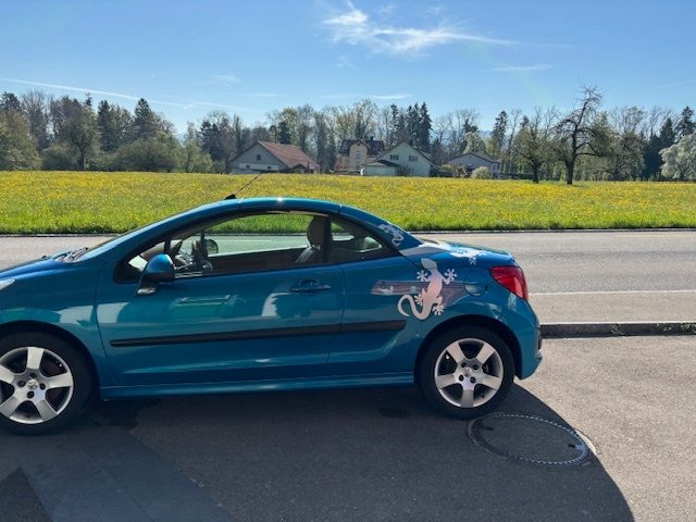 PEUGEOT 207 1.6 16V Sport, Essence, Occasion / Utilisé, Manuelle - 3